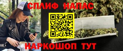 сатива Кунгур
