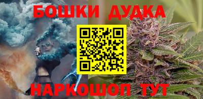 сатива Кунгур